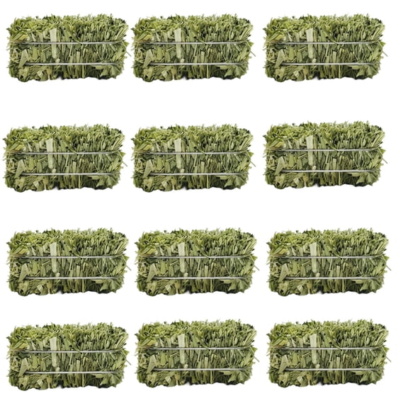 12 Pcs Mini Hay Bales, 1 x 1.25 x 2.5 in / 2.5 x 3.2 x 6.4 cm Small Decorative Straw Bale, Thanksgiving Fall Harvest Decorations for DIY Crafts, Dollhouse, Farmhouse Decor