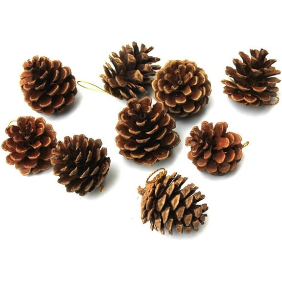QZS 12 Pcs Brown Mini Pine Cones,1.57In Pine Cones Bulk Package All Natural,Tiny Pinecones for Crafts,Pine Cones Ornaments with String for Xmas,Thanksgiving