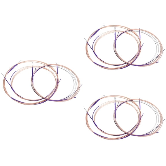 12 Pcs Professional Strings for Pipa Practical Chinese Pipa Strings Chinese Lute Practice Strings