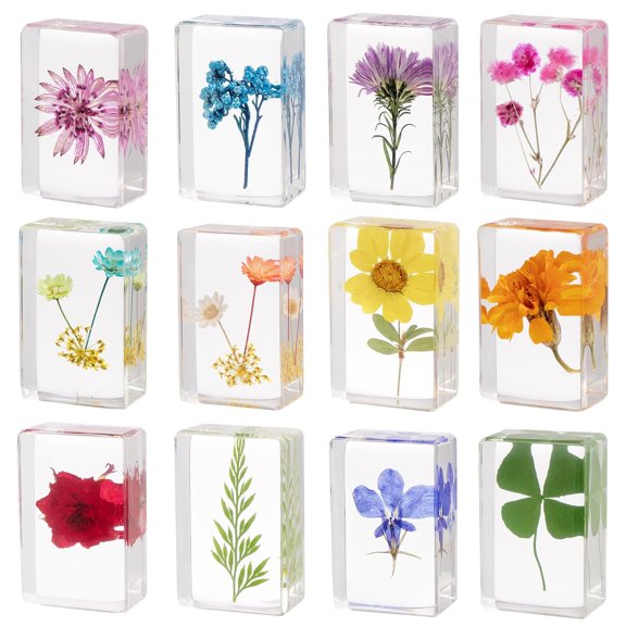 12 Pcs Real Pressed Flower Resin Paperweights - Botanical Specimen Collection for Home Desk Decor, Science Education, and Unique Display Supplies