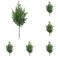 12 Pcs Real Touch Norfolk Pine Stems - Christmas Artificial Soft Pine Branches, Faux Greenery Cedar Picks for Holiday DIY Wreath Ornaments, Home Table Centerpiece Vase Decor(Green,19.6x7.8")