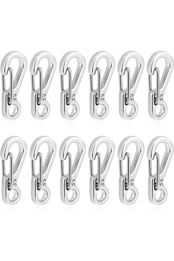 12 Pcs Tiny Carabiner Clip Metal Small Spring Snap Hooks, 1 inch Key Chain Clip Hooks Metal Swivel Clasps Lanyard Snap Hook Carabiners for Backpack Keychains Accessories(Silver)