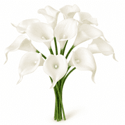 12 Pcs White Artificial Calla Lily Flowers, Real Touch PU Faux Flowers for Wedding Bouquets, Centerpieces and Home Decor