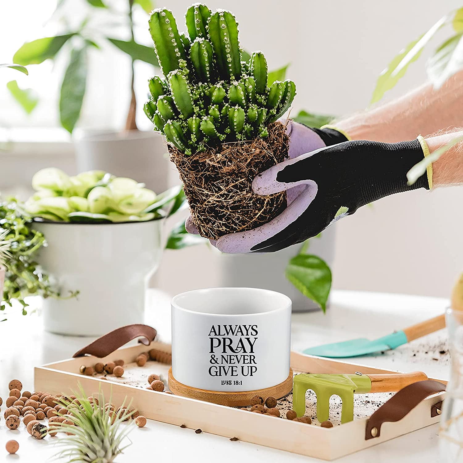 12 Pcs White Bible Verse Succulent Pots with Drainage 3.15 Inch Mini ...