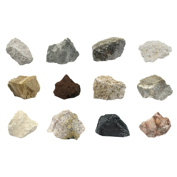 12 Piece Introduction to Sedimentary Rocks Kit - Includes 1" Specimens - Great for Geology Classrooms & Basic Field Testing Labs - Tech Cut Rocks by Eisco Labs