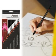 12 Piece Sketch Pencil Set, Art Drawing Pencils in Iron Box, Professional Graphite Drawing Tools for Shading Detailing Sketching