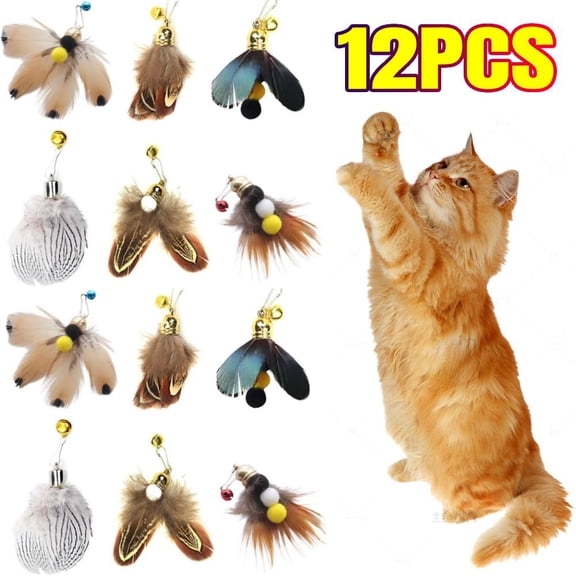 12 Pieces Cat Insect Feather Toys Replacement Cat Toy Wand Refills, Natural Insect Cat Toy Feathers Refill, Interactive Cat Teaser Wand Attachments, with Bell