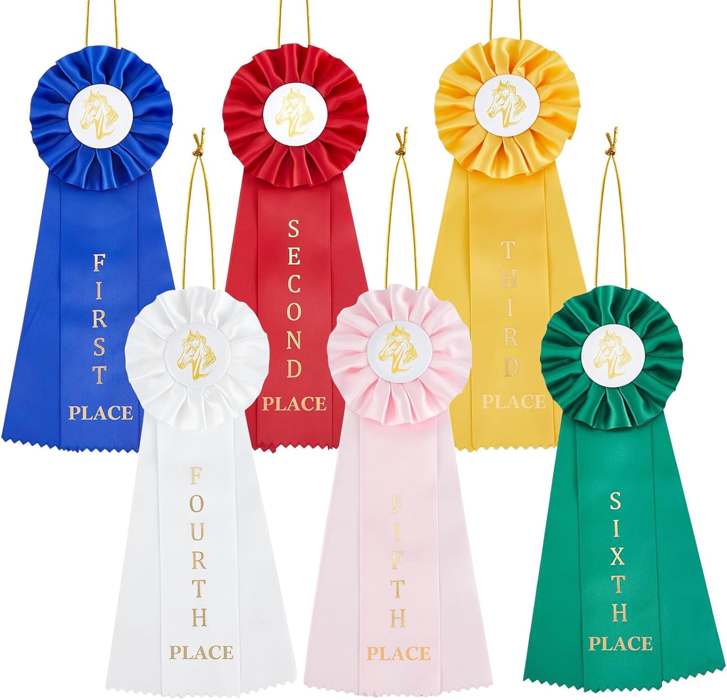12 Pieces Horse Show Rosette Award Ribbon 1st 6th Place Set
