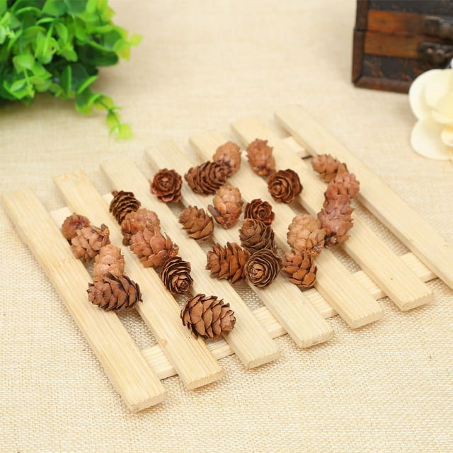 12 PineCones Bulk Package All Natural, Bug Free, and Perfect for Crafting for Home Accent Decor Pine Cones - 1-2cm Pine flower