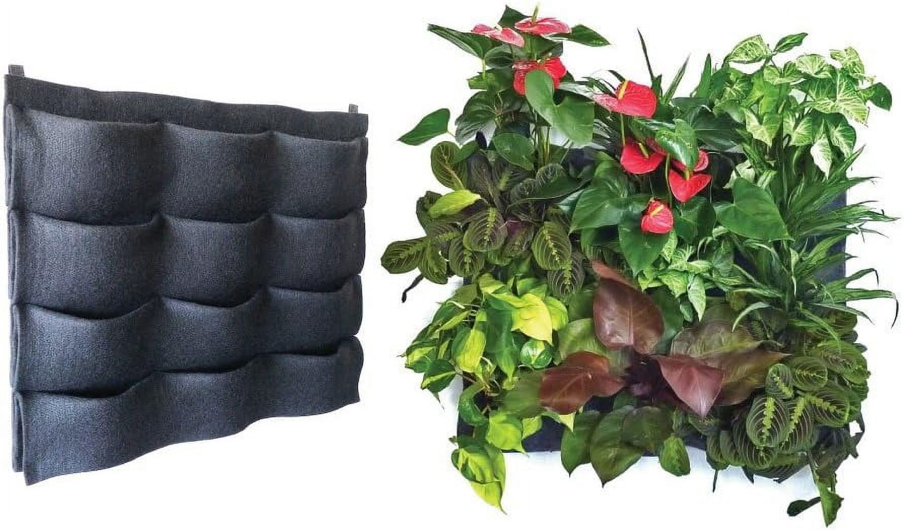 12-Pocket Living Wall Planting Modular Vertical Garden System - Rigid ...