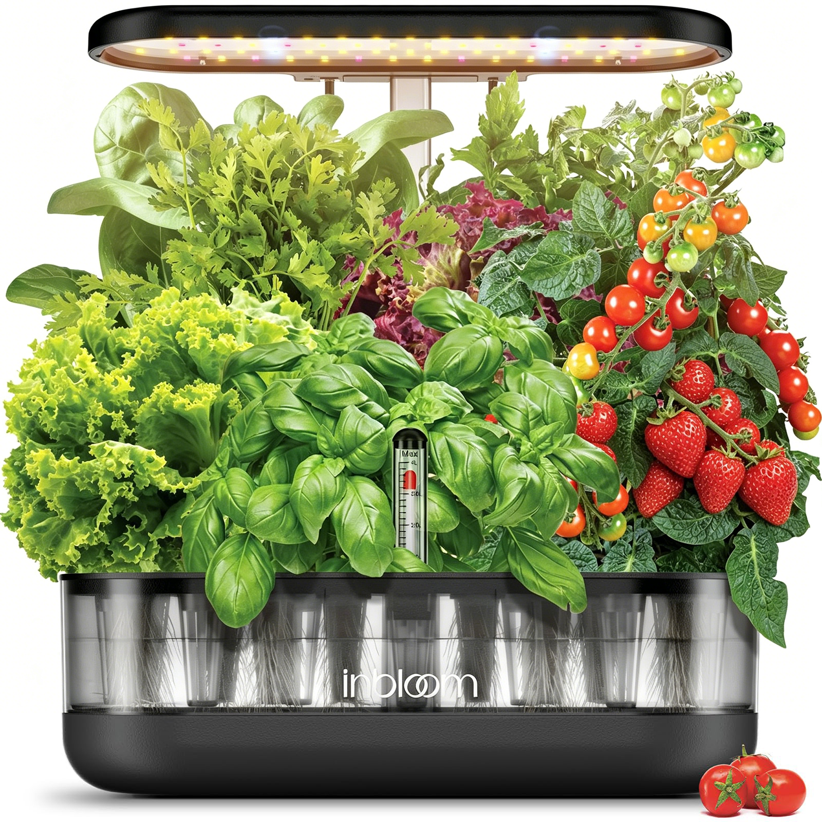 Hydroponic Garden Systems and Seed Kits for Indoor and Patio Gardening