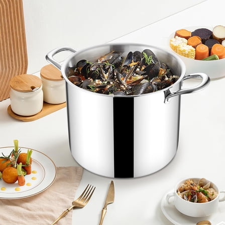 12 QT Stock Pot, Tri-ply 18/10 Stainless Steel Cooking Pot with Lid, 12 Quart Large Metal Pasta Stockpot for Chicken Soup, Big Stockpot for Induction Gas Electric Stove, Dishwasher Safe