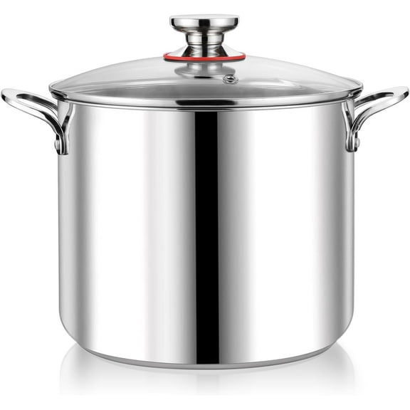 12 Quart Stainless Steel Stock Pot with Lid Large Stockpot for Cooking Pasta Soup Cookware for Induction Gas Electric Stoves Visible Lid & Measuring Markings Dishwasher Safe