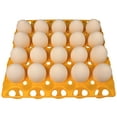 thumbnail image 1 of 12 RITE FARM PRODUCTS 20 EGG PLASTIC TRAYS FOR DUCK GOOSE TURKEY PEAFOWL CARTON, 1 of 5