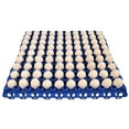 thumbnail image 1 of 12 RITE FARM PRODUCTS 90 EGG PLASTIC TRAYS QUAIL PIGEON DOVE BIRD FLAT CARTON, 1 of 4