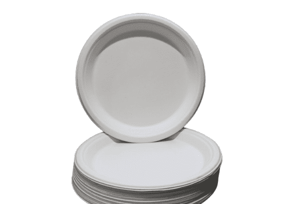 12" Round Plate, Compostable, Sugarcane Bagasse, Heavy Duty Disposable Plates for Party, BBQ, Picnic, Catering Pack of 100