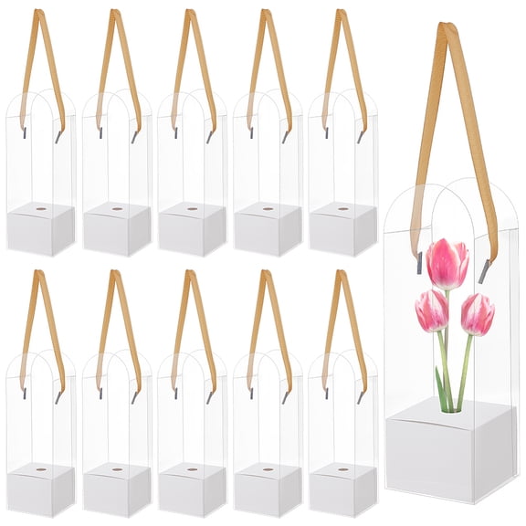 12 Sets Clear Plastic & Paper Flower Storage Boxes with Polyester Ribbon Rectangle White 8x8x24.8cm