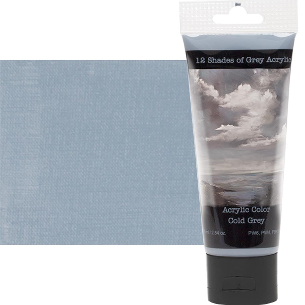 12 Shades Of Grey Acrylic Paint Colors - Cold Grey 75ml (2.5 oz.), Highly Pigmented Grey Acrylic Colors for Painting & Crafts
