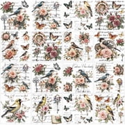 12 Sheets 12 Style Rub on Transfers 5.5x5.5 Inch Vintage Birds Rose Rub on Transfer Colorful Birds Print Transfer Stickers for DIY Window Furniture Craft Scrapbook Decals