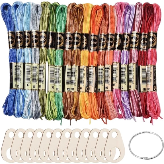 12 Skeins 6Ply Colorful Stitch Thread Variegated Embroidery String Wood Organizer Binder Hinged Rings Polyester Floss Kit