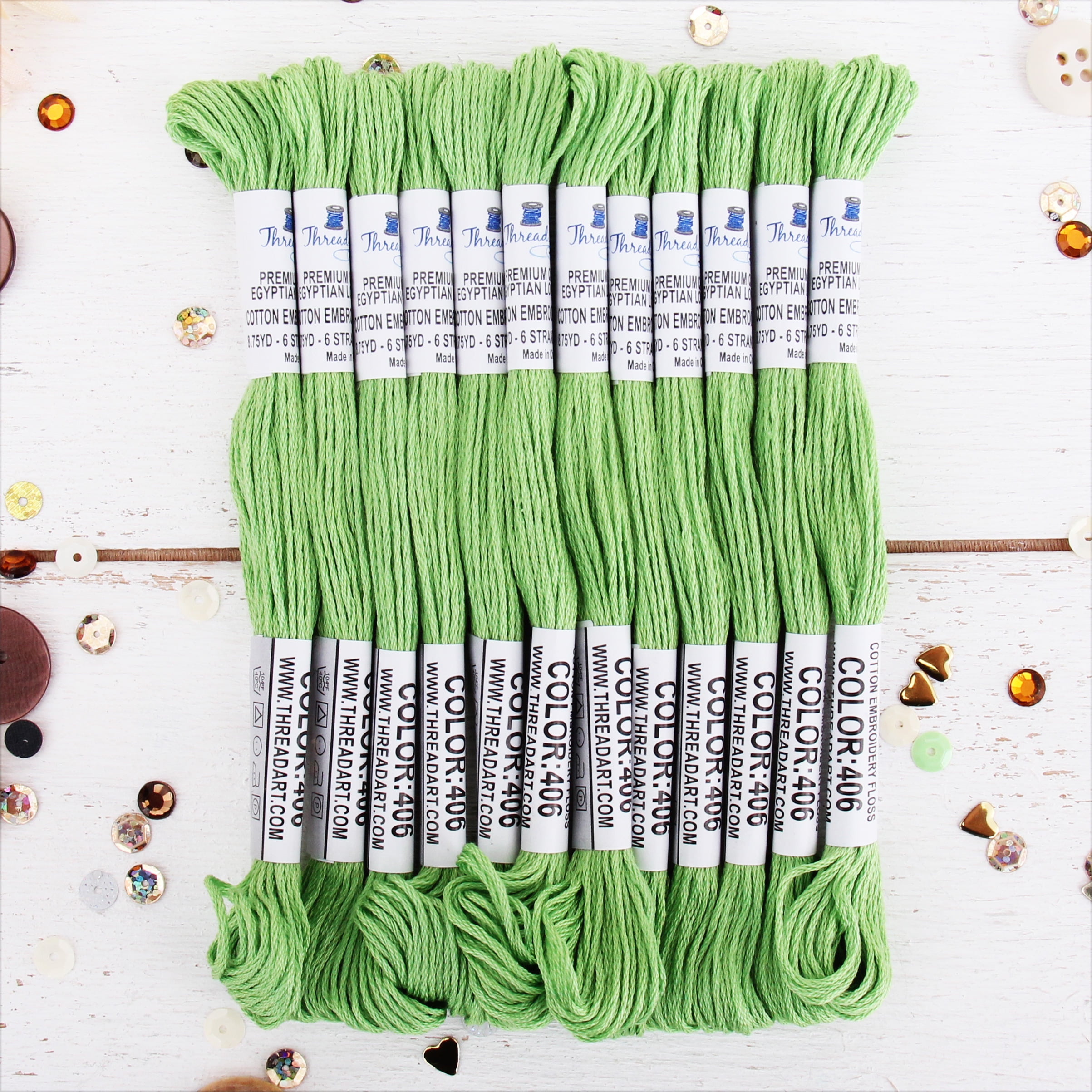  Dmc 6-Strand Embroidery Cotton 8.7yd-Dark Moss Green