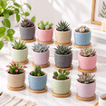 Caramic Pot 12 Small Cylindrical Plant Pots with Drainage and Saucers, Vibrant ...