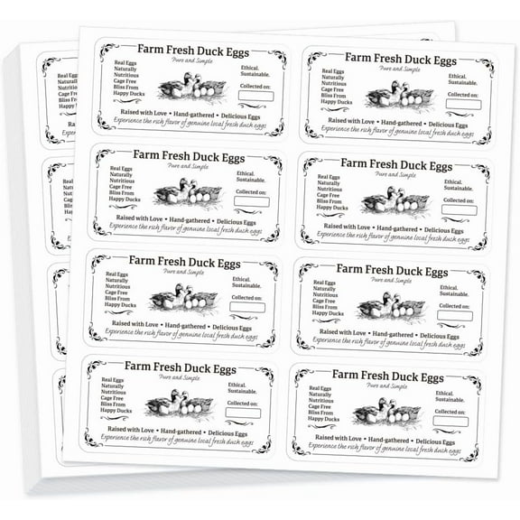 12 Style Adhesive Label Waterproof PET Stickers Set Rectangle Duck 225x225mm