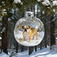thumbnail image 1 of 12 Styles Dog Christmas Ornaments Set, 2D Acrylic Shatterproof Dog Theme Decor for Christmas Tree & Dog Lovers (H), 1 of 4