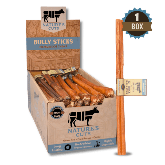 12" Thick Bully Sticks Display Box (40 ct) with Individual UPC Tags - 100% All Natural Beef