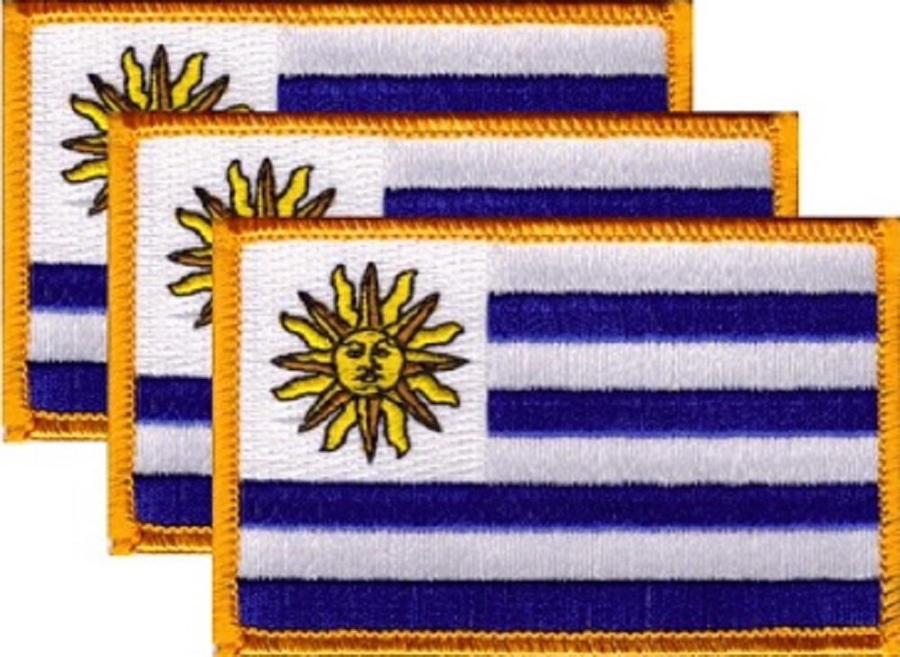 12 Uruguay Flag Patches, Embroidered Iron On or Sew On, Measures 3.50" x 2.25"