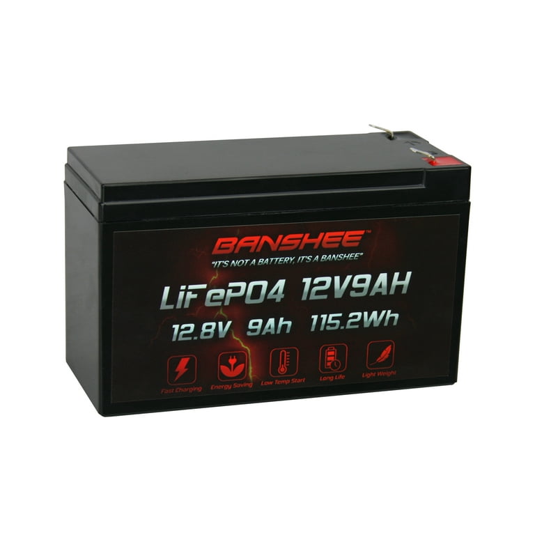 12 Volt 9AH Deep Cycle Rechargeable Lithium ion Battery Perfect for Replace  UPS System Fish Finder Battery Maintenance-Free Built in BMS