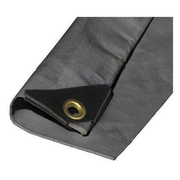 12'X26' Extra Heavy Duty 12 mil Silver Tarp 3 Ply Coated Reinforced Canopy 6 oz 3 Layer (Includes Tarps Tools and Toys Maintenance Manual)