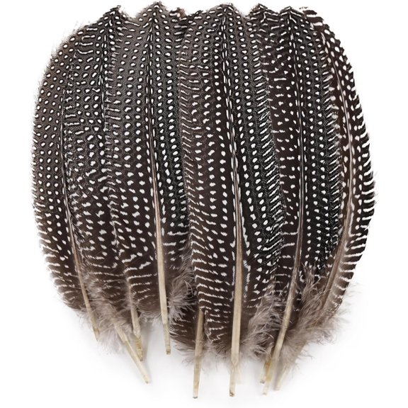12 count Guinea Fowl Wing Feathers Bulk 6-8 inch Spotted Feathers for DIY Craft Wedding Decoration