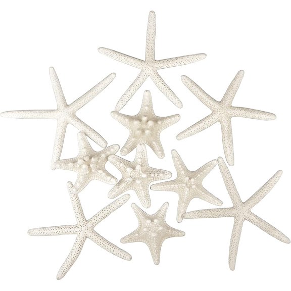 12 count Starfish 2-6 Inch Starfish Seashells Starfish Fish Shells Decorations for Wedding Decor Beach Theme Party, Decorations, DIY Crafts, Fish