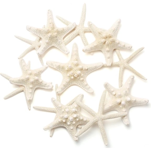 12 count Starfish Decor | 2.5-6 Inch Starfish Shells for Crafts Making Beach Theme Party Wedding Decoration, Wall Decor, Christmas Ornaments, Fish