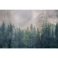 thumbnail image 1 of 12 ft.-3 in. x 8 ft.-2 in. Forest Abstract Wall Mural, 1 of 1