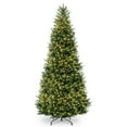 thumbnail image 1 of CC Christmas Decor 12’ Pre-Lit Natural Fraser Medium Fir Artificial Christmas Tree – Clear Lights, 1 of 3