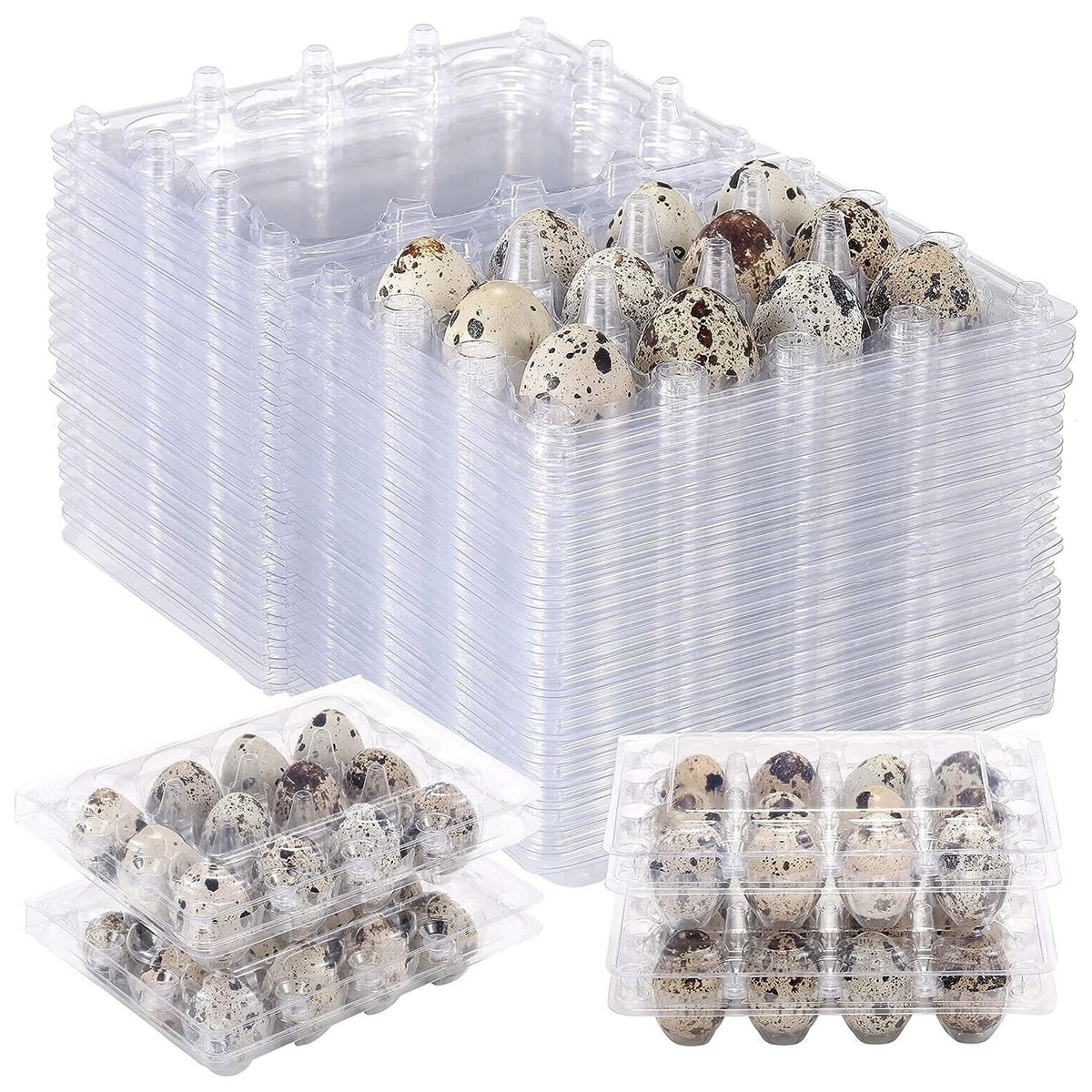 12-grid Quail Egg Cartons, Mini Egg Storage With Lock, Food-grade Pvc ...