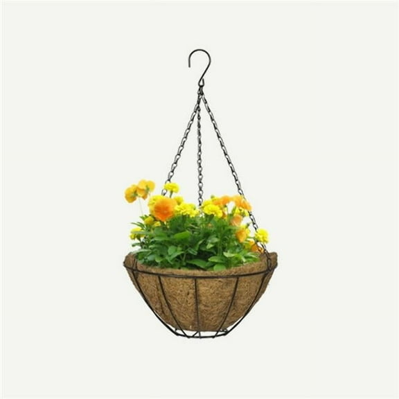 12 in. Growers Style Hanging Basket - Black
