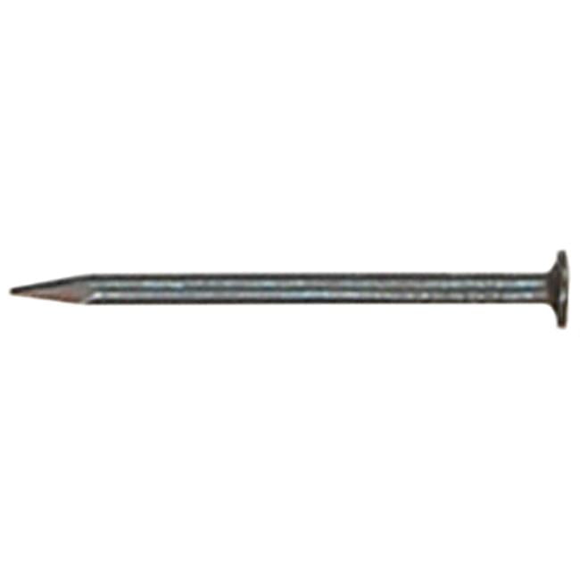 12 in. Hot Galvanized Common Nail, 5 lbs