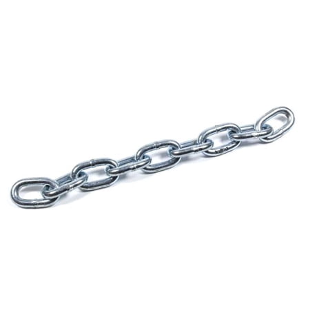 12 in. Limit Chain