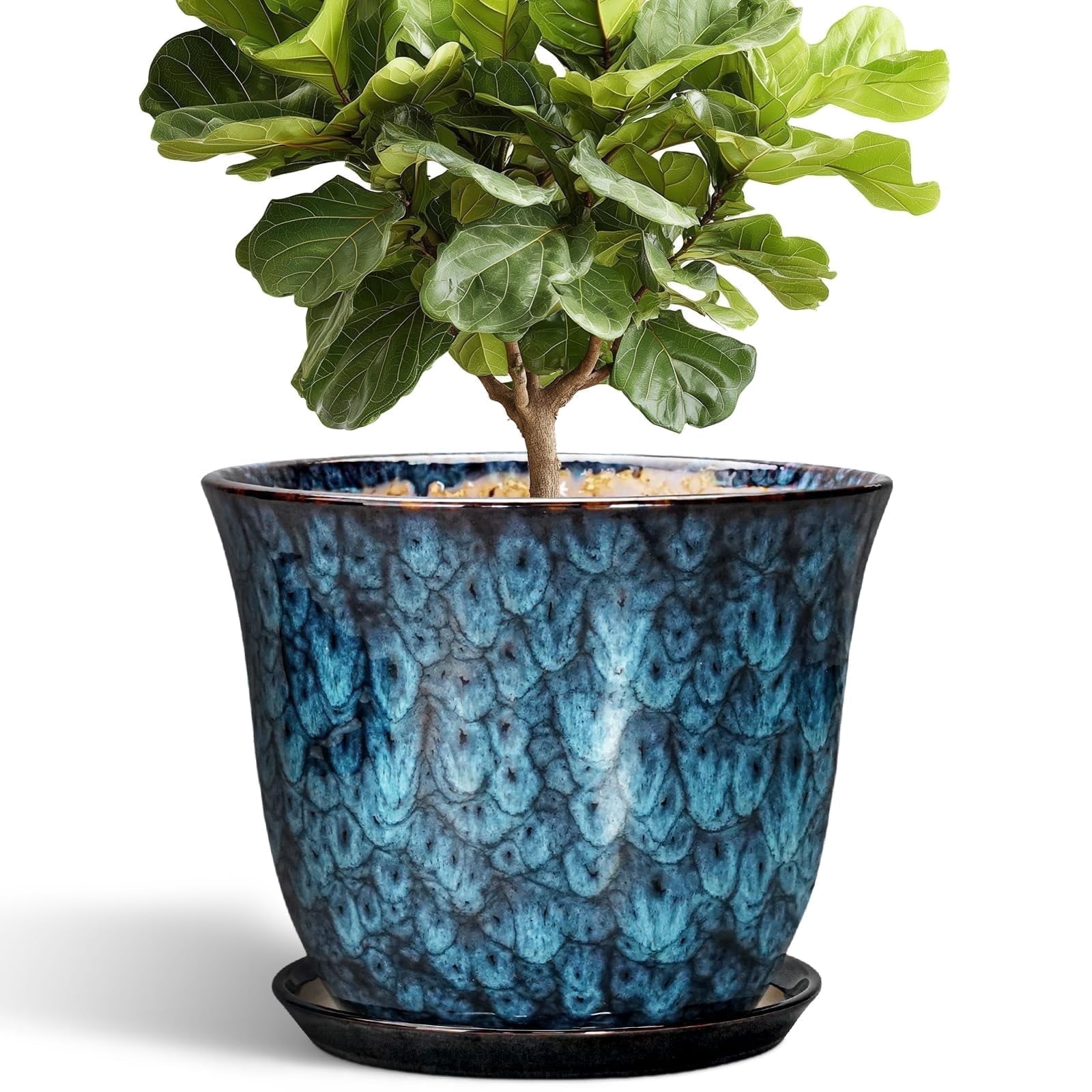 12 inch Extra Large Plant Pots, Round Ceramic Planter with Drainage for ...