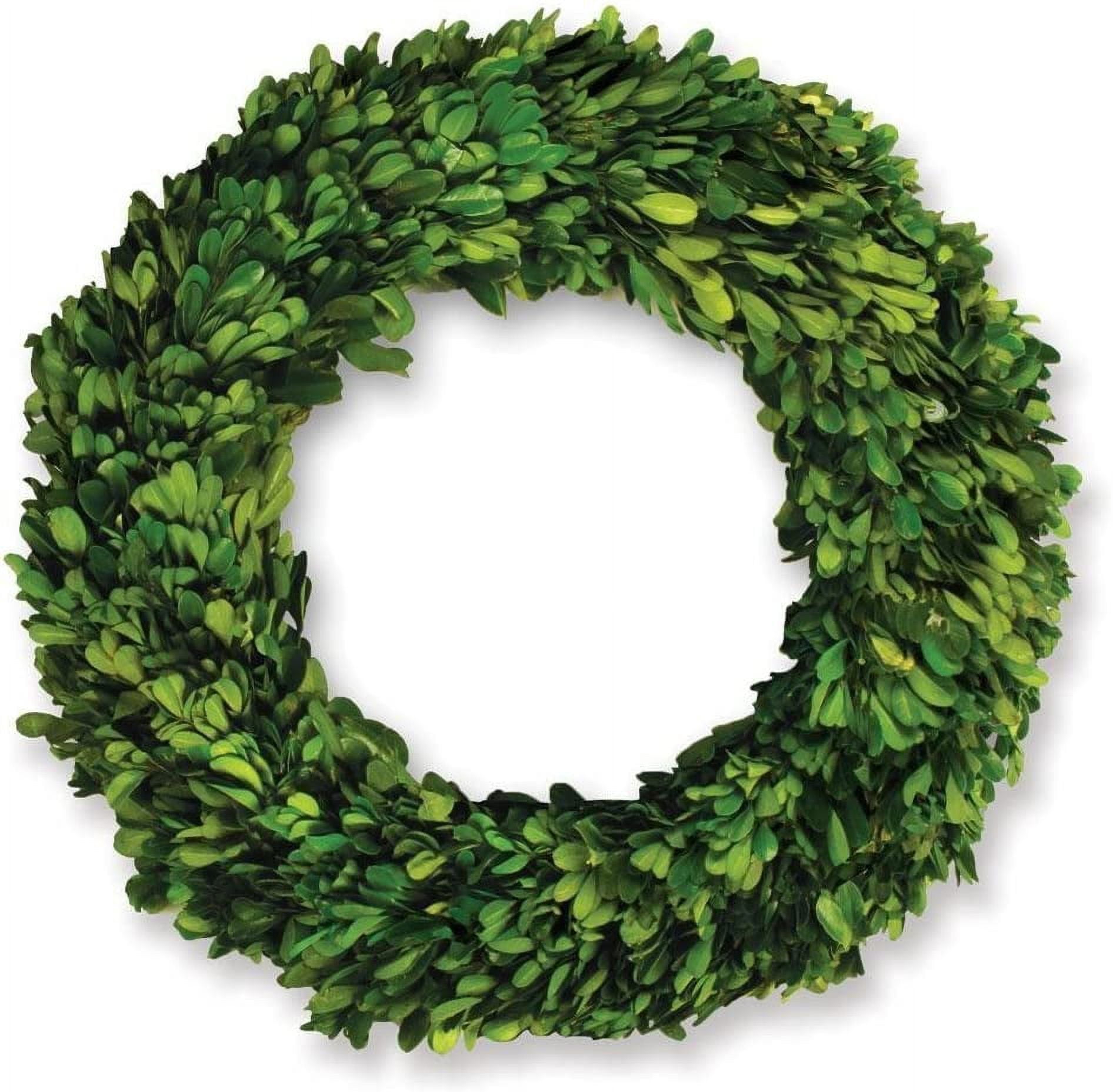 12-Inch Green Preserved Boxwood Circular Wreath