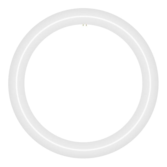 12 inch T9 Circline Type A Plug & Play LED Lamp, Daylight (6000K) Direct Replacement for 32W FC12T9/D, FCL32W (Without Rewiring or Modification) Ballast Required!