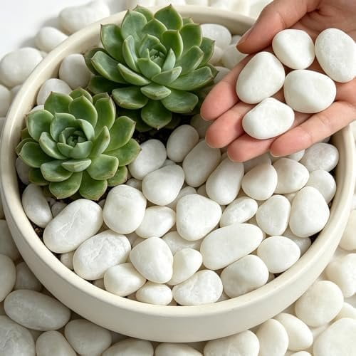 12 lbs White River Rocks, 1-2 Inch Decorative