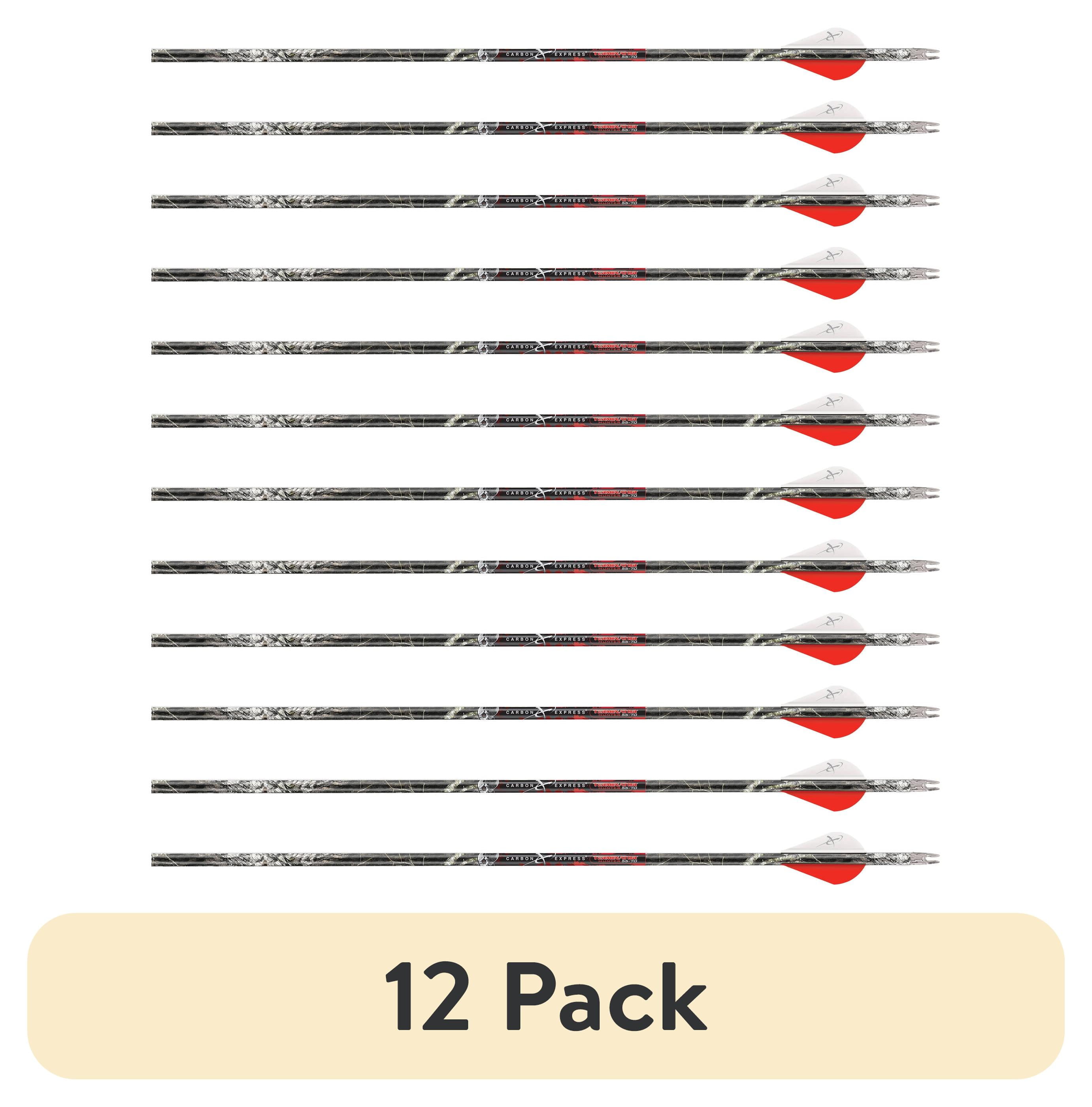 その他 ARROW  ACE  QA-20000SS 12 pack) Carbon Express Terminator Hunter 55-70 lb Draw Arrow, 30