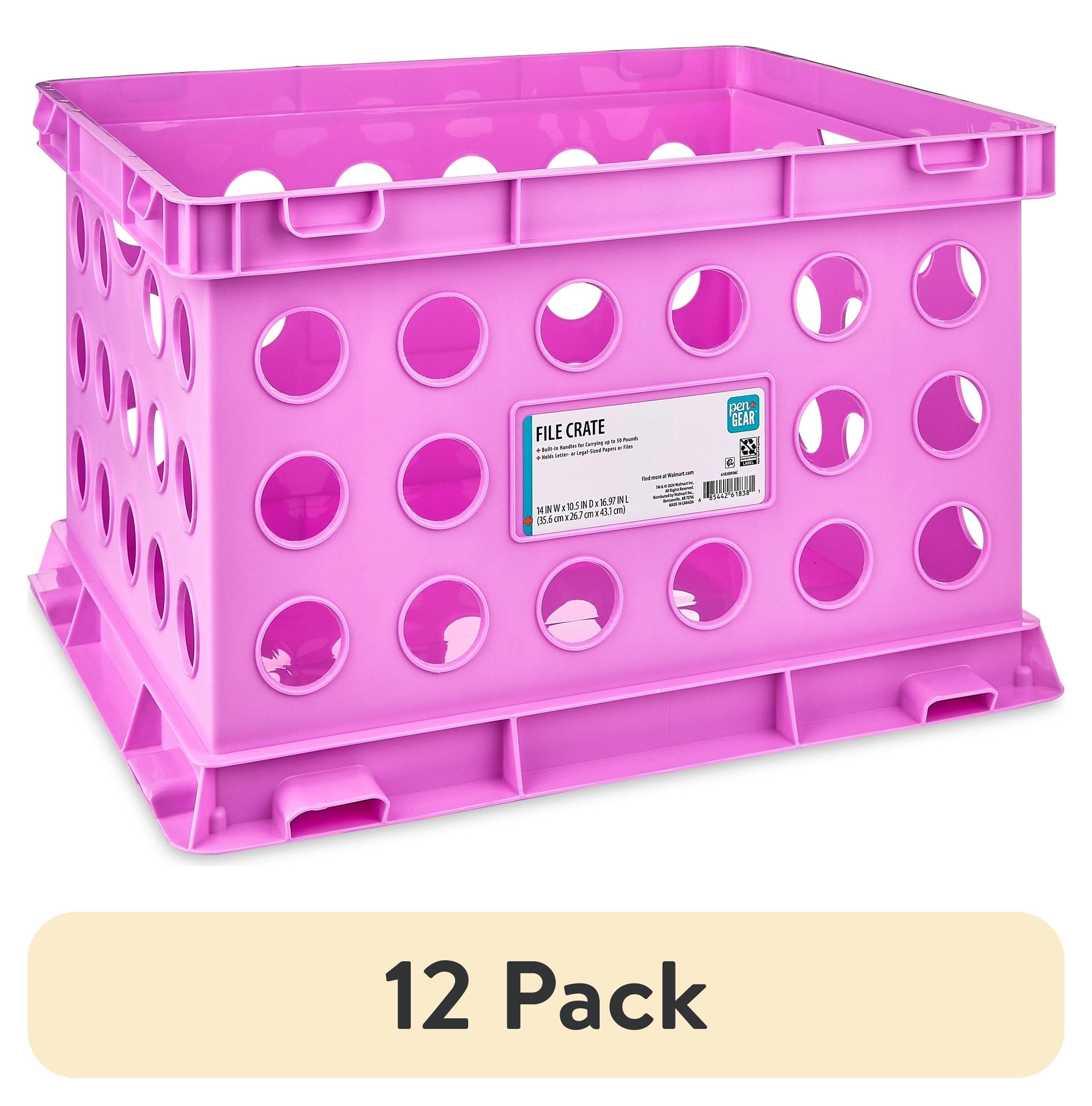 (12 pack) Pen+Gear Plastic File and Storage Crate, Violet Glow, 1-pack
