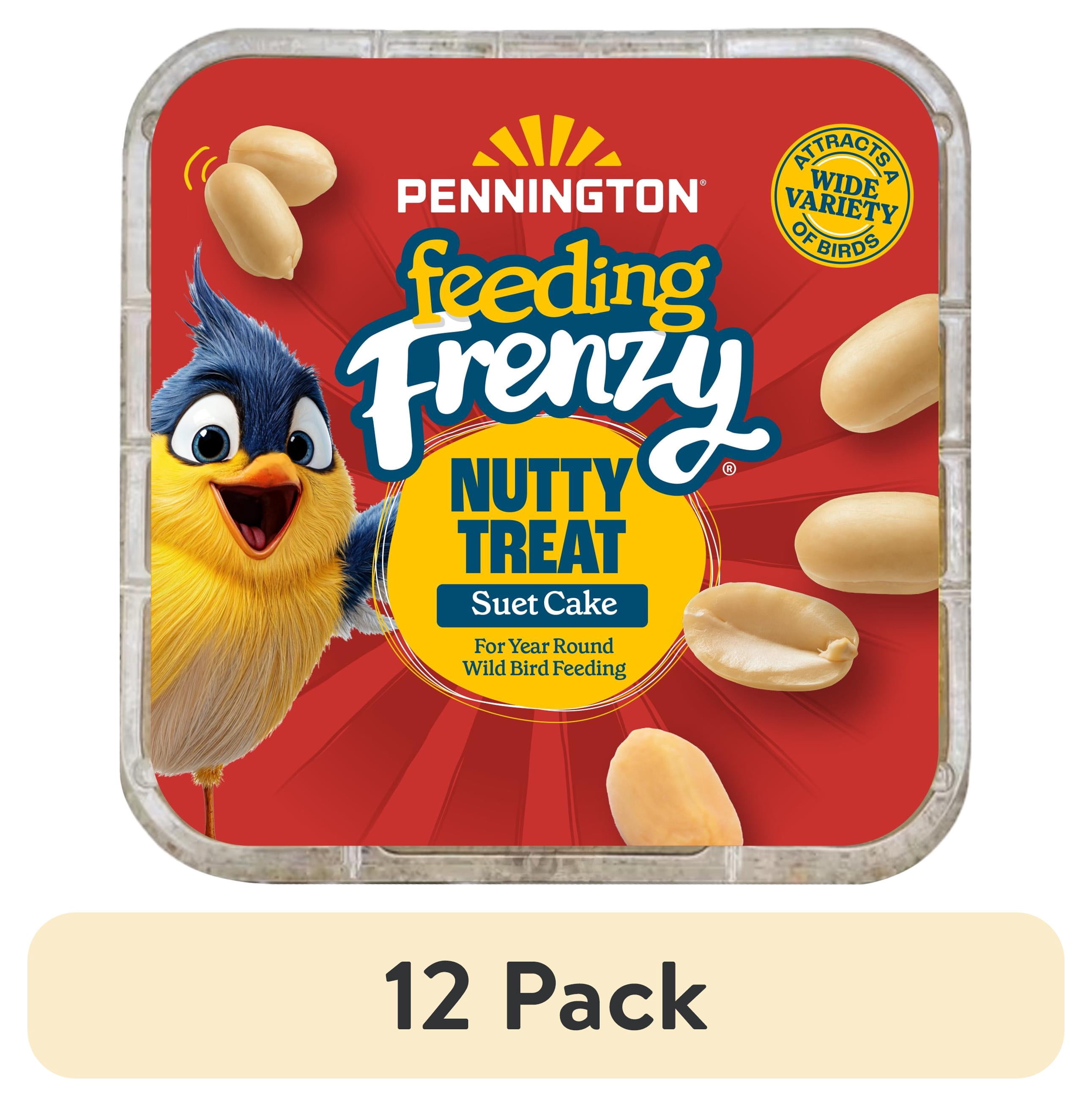 (12 pack) Pennington Feeding Frenzy Nutty Suet Treat, 11.75 oz, Wild Bird Food. 1 Pack, Fresh