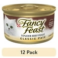thumbnail image 1 of (12 pack) Purina Fancy Feast Classic Pate Cat Food, Tender Beef Feast, 3 oz Can, 1 of 10