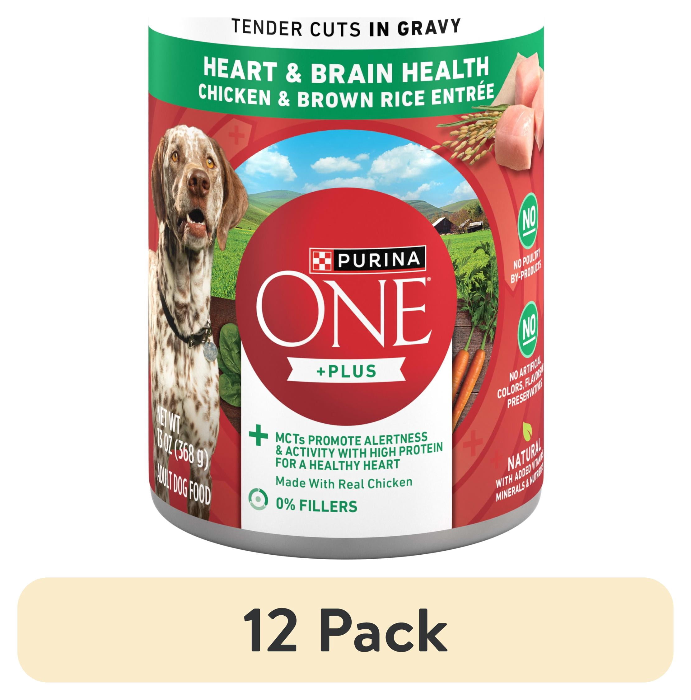 (12 pack) Purina ONE Plus Tender Cuts in Gravy Heart and Brain Chicken and Brown Rice Entree Natural with Added Vitamins and Minerals Wet Dog Food, 13 oz Can